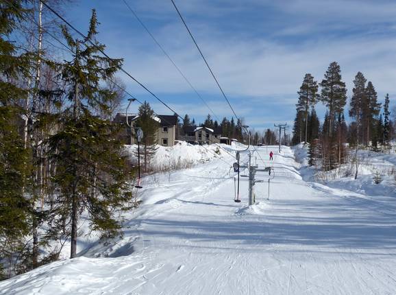 Tjädern