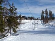Tjädern - J-bar