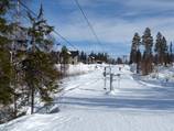Tjädern