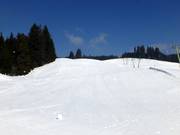 Wasenlift run
