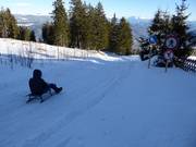 Toboggan run at Vigiljoch