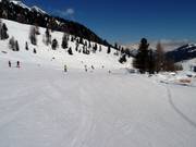 Slow-Skiing slope in Siviez