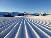 Tracks in the snow