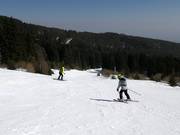 Slope Blue piste
