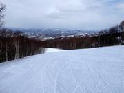 Easy slope Fuboru