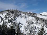 Steep Ontario Bowl