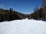 Märchenwald run