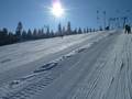 Slopes Kaltenbronn