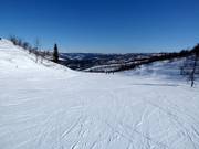 Slope Eiva No. 52 (Vestlia)