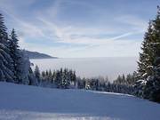 Family run above the clouds