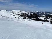 FIS slope