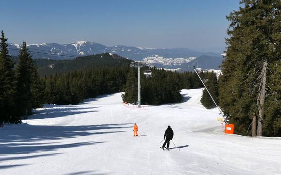 Best ski resort in the Rhodope Mountains – Test report Pamporovo