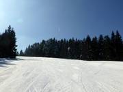 The downhill run at Notschrei invites you to carve.