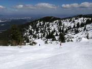 Black slope Fonfon