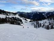 View over the ski area at Shuttleberg
