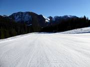 Easy Dreitannenhang
