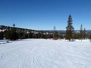 Easy slope No. 43