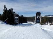 Blue Line