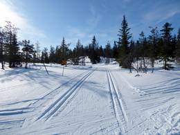 Kläppen
