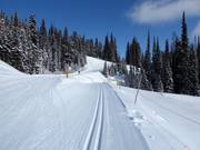 Cross-country trails at SilverStar Mountain Resort