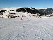 Slope at the Panorama chairlift
