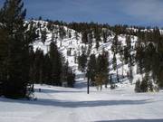 Granite Chief Area