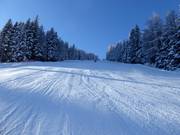 Black FIS downhill run No. 8 in Mariensee