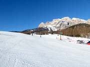 Easy slope No. 27 Roncato
