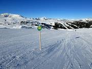 Easy slopes in the Sunshine Village ski area