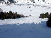 Hinterdorf Run