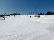 Easy valley run Kotelnica