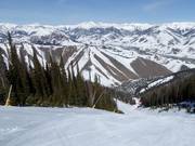 Slope Warm Springs Face (FIS Downhill)