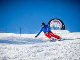 Adrenalin Cup 