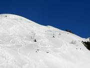 Loser Freeride Area