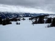 Easy slope Hangurs