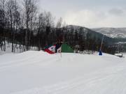 Obstacle on the valley run