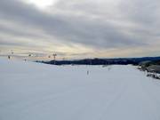 Easy slope Baldy