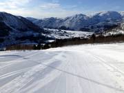 Easy slope Hyrtamyra No. 19