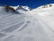 Perfect slope grooming on the Tonale Occidentale piste