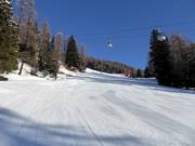 Valley run Tarlenta