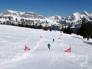 Skicross