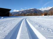 Cross-country trails in the valley floor with views of Zettersfeld