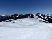 View over the Hornberg