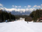 Valley run