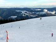 Slope at Belchenhaus