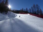 Slope Grünboden 2