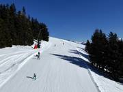 Easy family slope