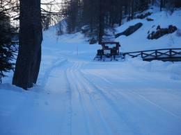 Alagna Valsesia/Gressoney-La-Trinité/Champoluc/Frachey (Monterosa Ski)