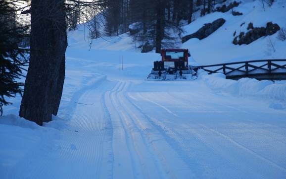 Cross-country skiing Vercelli – Cross-country skiing Alagna Valsesia/Gressoney-La-Trinité/Champoluc/Frachey (Monterosa Ski)