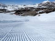 Very good slope grooming at Dollar Mountain